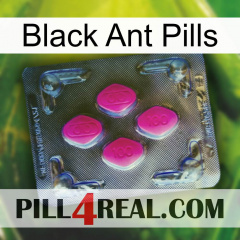 Black Ant Pills 02